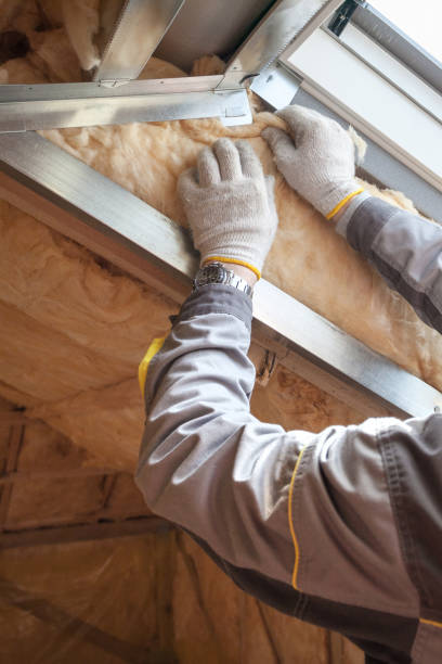 Best Insulation Maintenance and Repair in Bellaire, OH